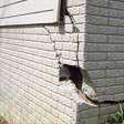 foundation walls cracked due to settlement in Burlington