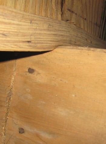 severe damage to a crawl space structure in a St Albans home