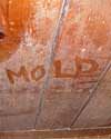 The word mold written with a finger on a moldy wood wall in Brattleboro