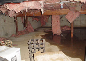fiberglass insulation dripping off the ceiling of a crawl space in Brattleboro.