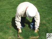Restoring the landscaping by replacing removed sod on the ground for a Bennington home.