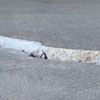 Slab floor cracks showing in a White River Junction home