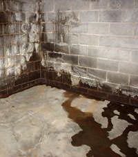 Water seeping through a concrete wall in a Berlin basement