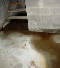 Flooding floor cracks by a hatchway door in Newport