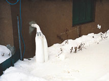 IceGuard® Installed Colchester